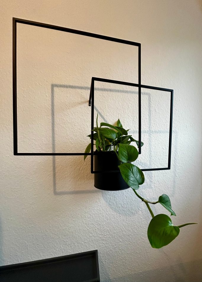 Einzelzimmer 3 Eine Pflanze in einem schwarz-rahmigen Blumentopf vor geometrischen Rahmen.