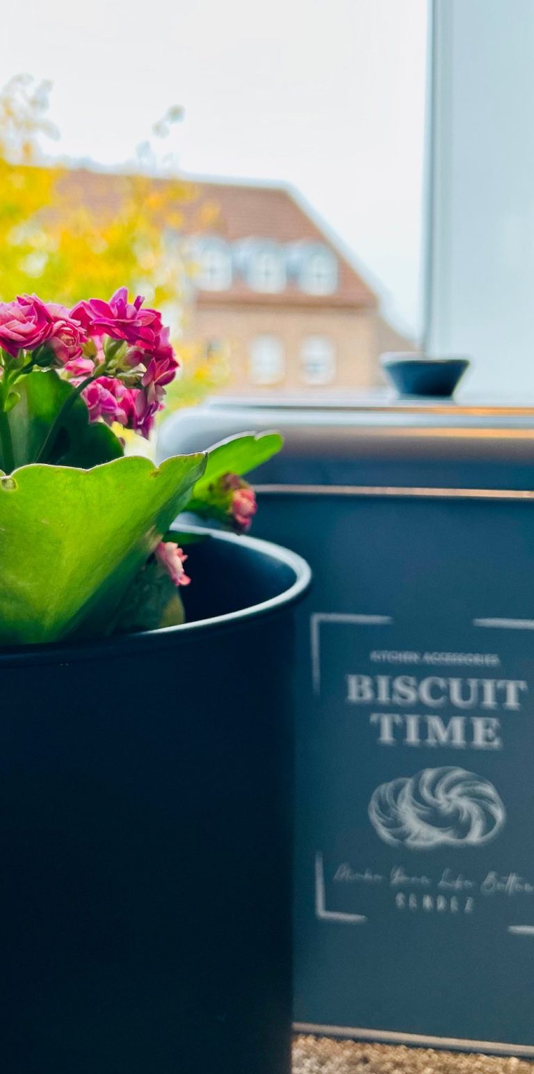Ferien - Biscuit Time Topfpflanze mit pinken Blüten vor einer Keksdose und einem hellen Fenster.