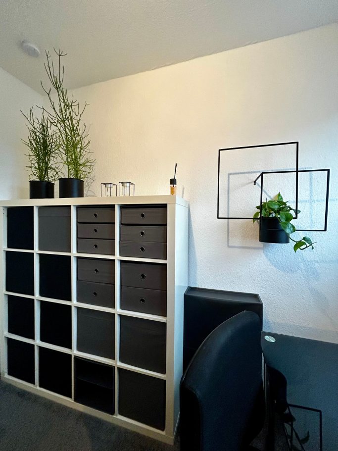 Einzelzimmer 2 Moderner Arbeitsbereich mit Pflanzen, Regalen und einem Stuhl.